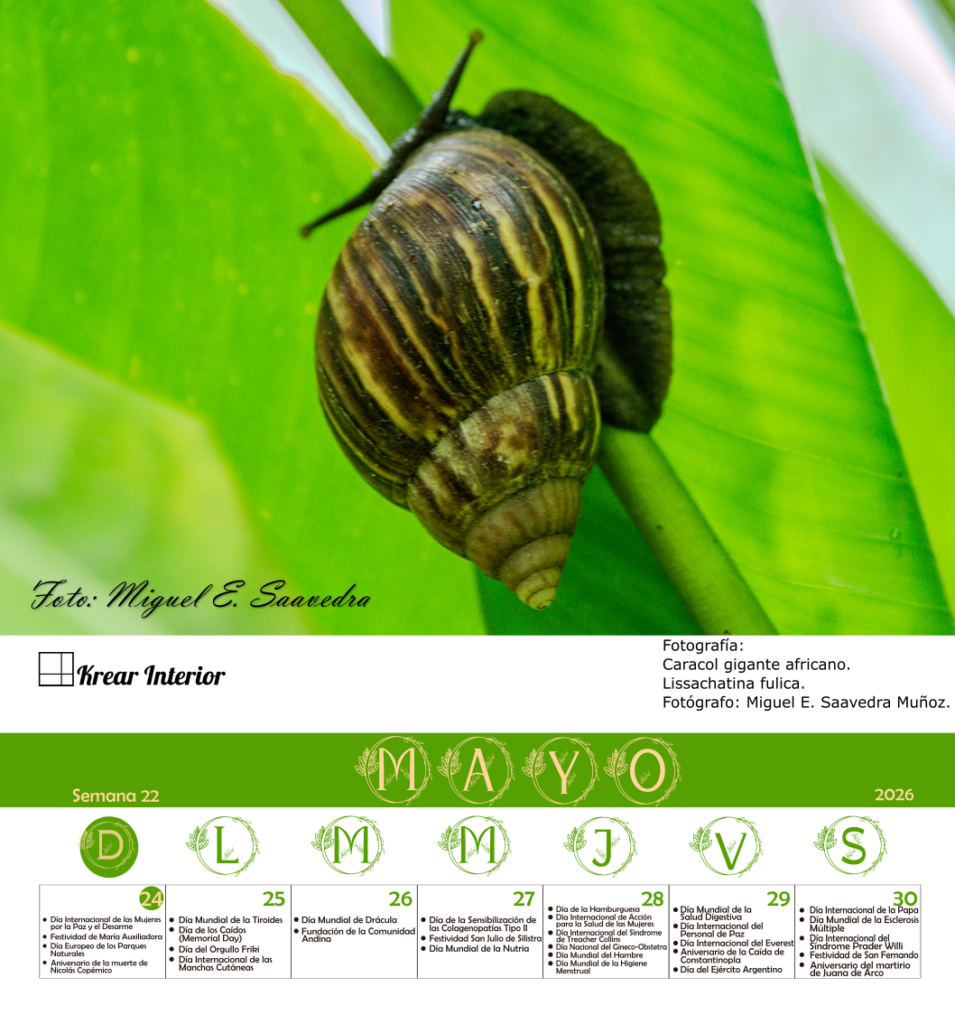 5 mayo semana 22